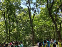-紫金山山顶公园
