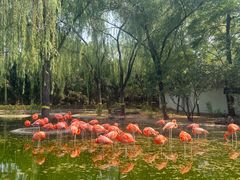 -石家庄市动物园