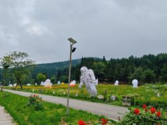 -武陵山森林公园