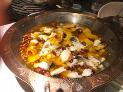 -雲蜀龙阁·金牌水煮鱼(方庄店)