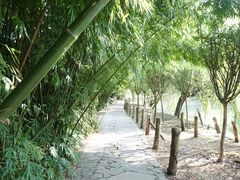 -贵阳市花溪国家城市湿地公园