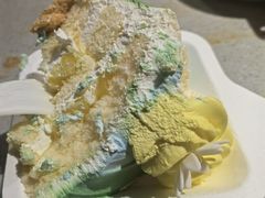 -维尔纳斯·生日蛋糕动物奶油冰淇淋蛋糕(人大店)