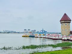 -九龙湖公园