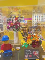 -乐高授权专卖店(卓悦汇店)