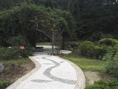-广西壮族自治区药用植物园