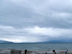 -月亮湾湿地公园