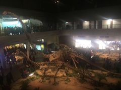 -自贡恐龙博物馆