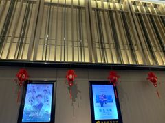 -深影国际影城(学院南路店CGS中国巨幕店)