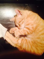 -汉刺青TATTOO STUDIO