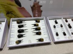 -烟台市博物馆