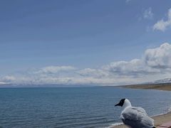 -青海湖国家重点风景名胜区