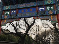 -北京国子监胡同