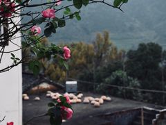 -篁岭景区