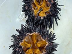 -滑记海鲜饭店·老字号(海鲜街店)