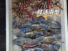 -上海老范农家乐(崇明前卫村店)