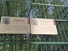 -秦皇岛野生动物园