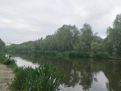 -新江湾城公园