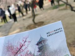 -无锡梅园公园