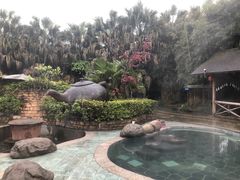 -雅安楠水阁温泉酒店