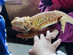 -昆明大悦城未来动物城(螺蛳湾中心店)