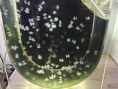 -嘉兴海底世界