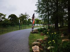 -上海长兴岛郊野公园
