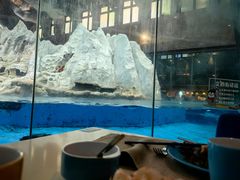 -帝企鹅自助餐厅•儿童岛•真企鹅(长隆企鹅酒店)