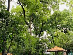 -一江春水·杭帮臻宴(三台山店)