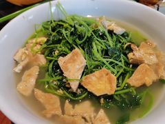 上汤益母草-园林美食城·本土农家菜(杨和镇店)