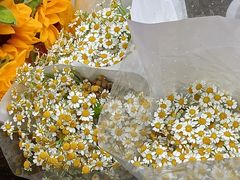 -循礼门鲜花花市(武汉循礼门店)