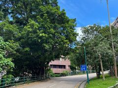 -香港大学