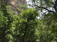 -大岭沟猕猴桃谷风景区