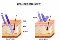 -S庆熙美学皮肤管理