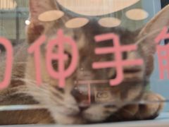 -FAELING PETS美天灵宠物(合生汇店)