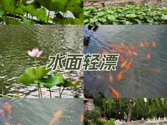 -北海公园