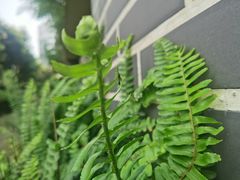 -廖记老砂锅(上清寺店)