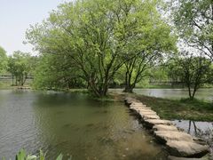 -弄堂里· 江南名肴(西湖龙井路店)