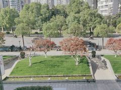 -大拙里·精致融合菜(沙湖桃源国际店)
