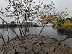-美兰湖景区