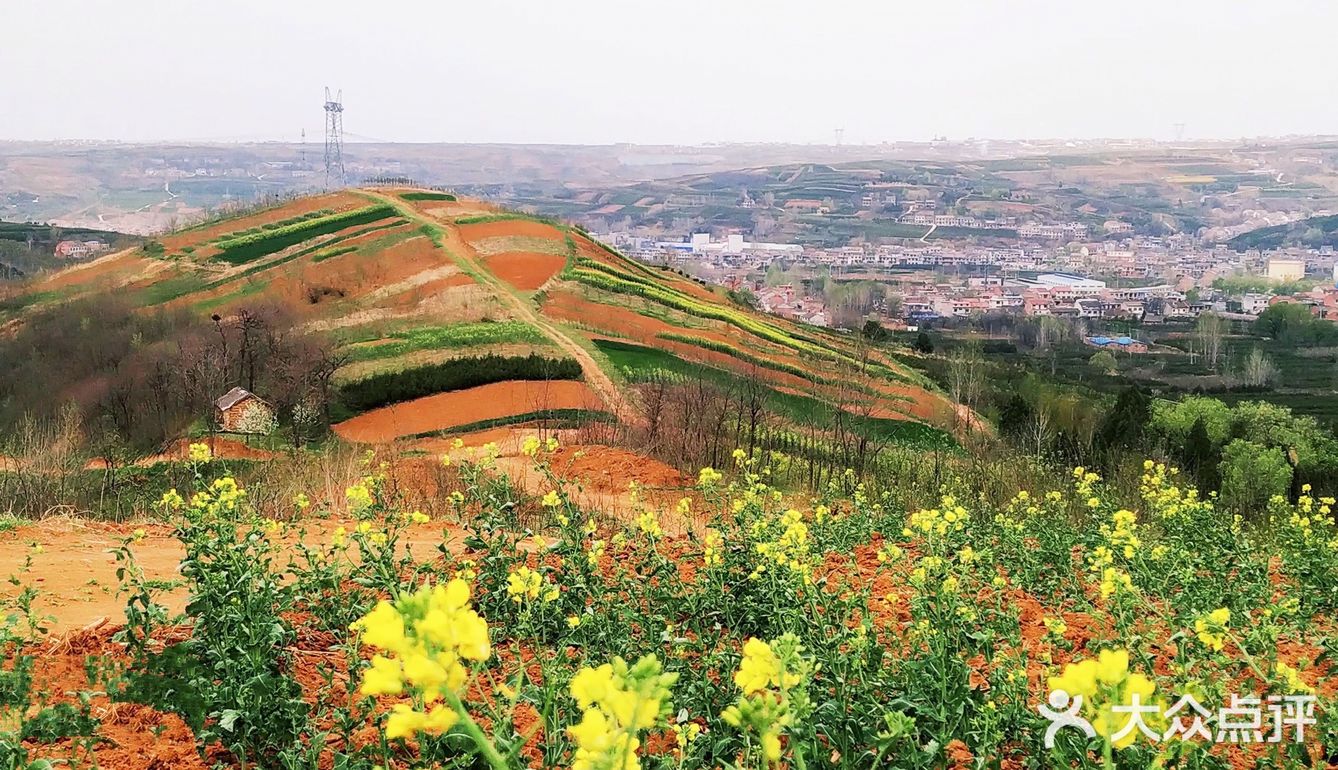 红土地vs油菜花｜秦岭普罗旺斯｜鲍旗寨