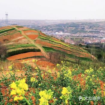 红土地vs油菜花｜秦岭普罗旺斯｜鲍旗寨
