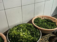 -正宗杨记普洱酸醋米线(总店)