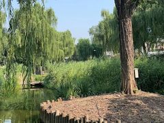 -三里河公园