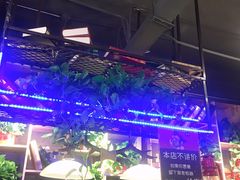 -小小河边鱼(天润城店)
