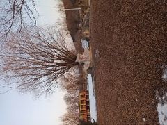 -北京莲花山滑雪场