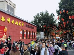 -越秀西湖花市(广州城市广场花卉店)