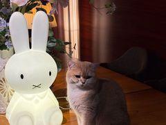 -咖法森林·咖啡  酒吧(天河店)