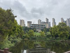 -张坝桂圆林公园