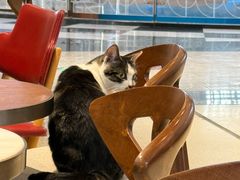 -Peet's Coffee皮爷咖啡(豫园店)