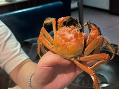 -曼格活海鲜·牛排自助(光明蓝鲸店)